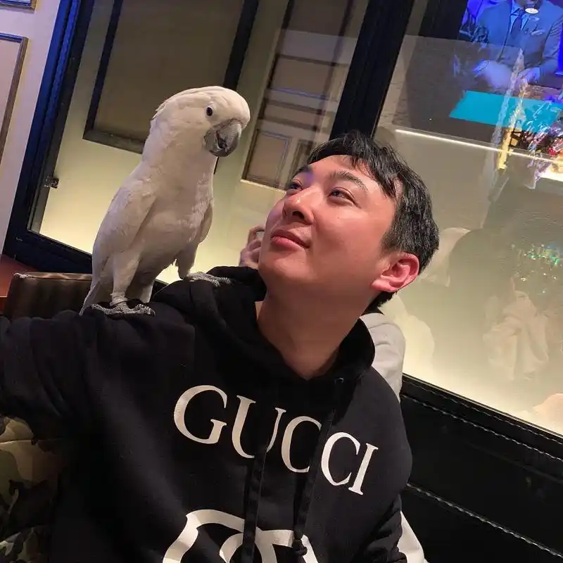 王思聪被列入失信人名单,中国执行信息公开网显示,@王思聪 已被列入失