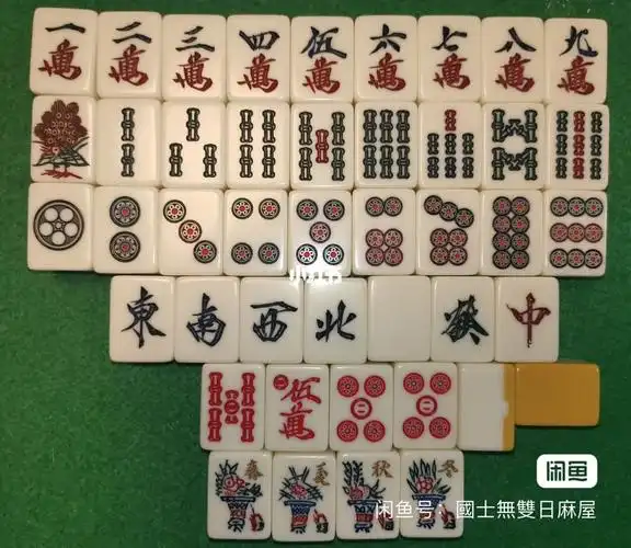 水野丸子 珍品手雕 日本麻将