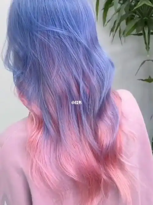 蓝粉双色染回头率炒鸡高的发色哦