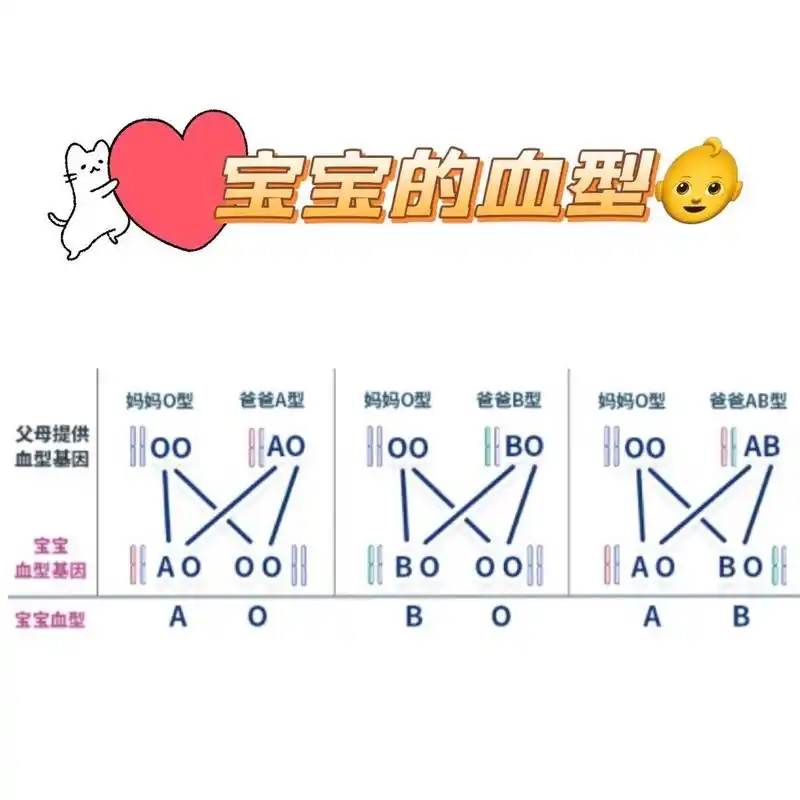 一图看懂:亲子血型遗传表 99有没有人还不知道父母和自己的血型的