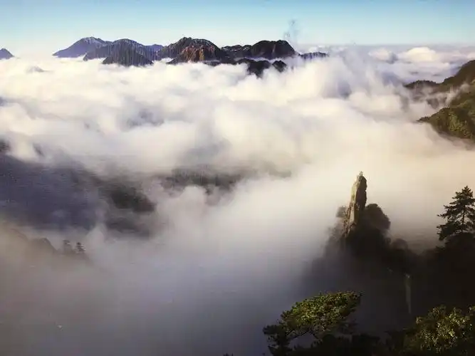 羊狮慕风光集锦