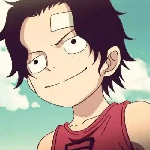 海贼王头像 | 艾斯_艾斯_海贼王_头像