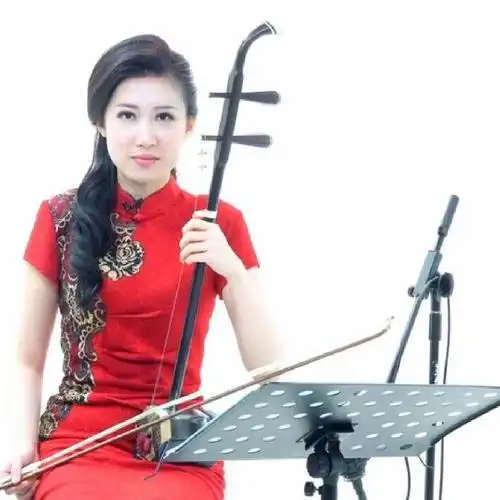 北京的金山上刘宇二胡版