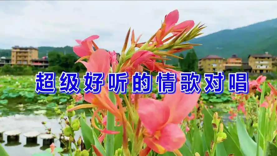 一首《超级好听的情歌对唱》情深意浓,醉人心扉,真好听!