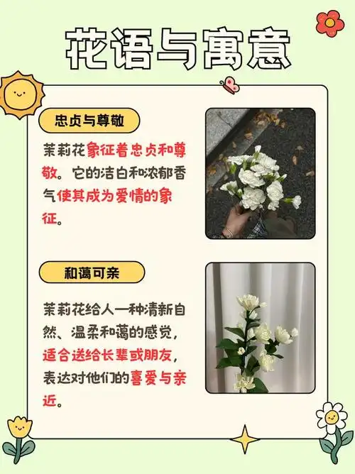 茉莉花的花语与寓意:清新香气中的深情表达!
