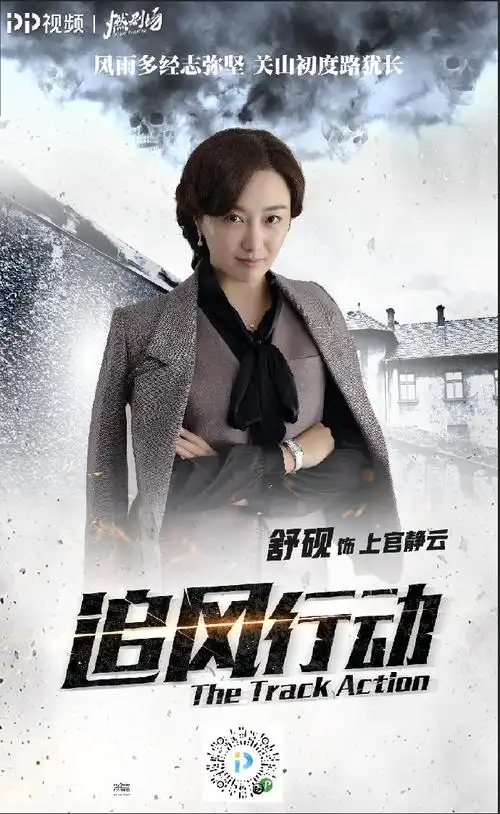 pp视频##追风行动