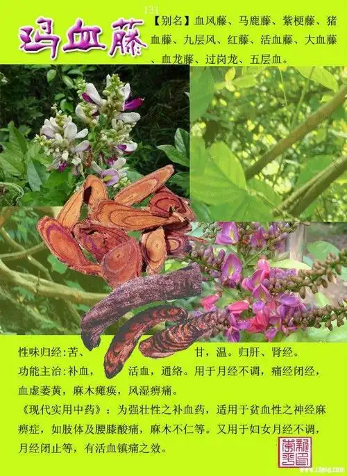 闲情雅趣.的美篇