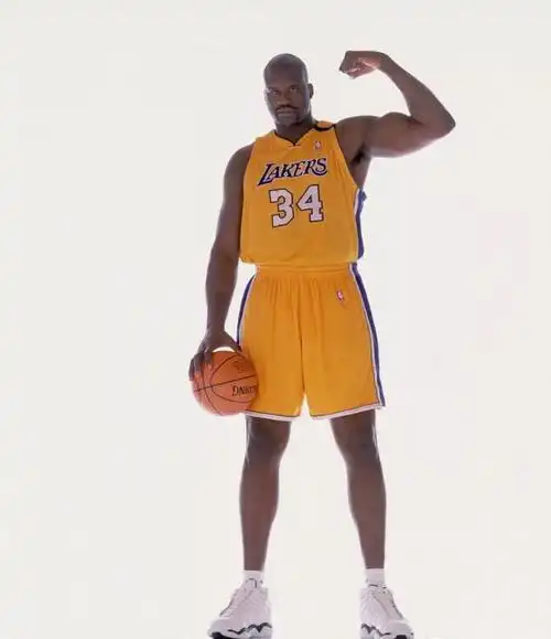 奥尼尔总冠军得分王mvp全明星次数nba生涯场均得分数据