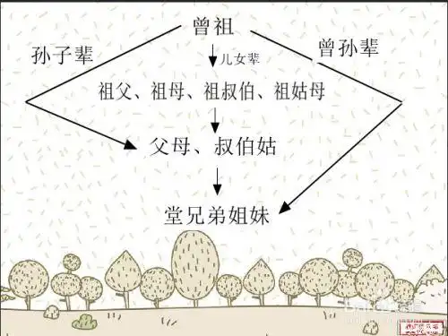 第四代人怎么称呼