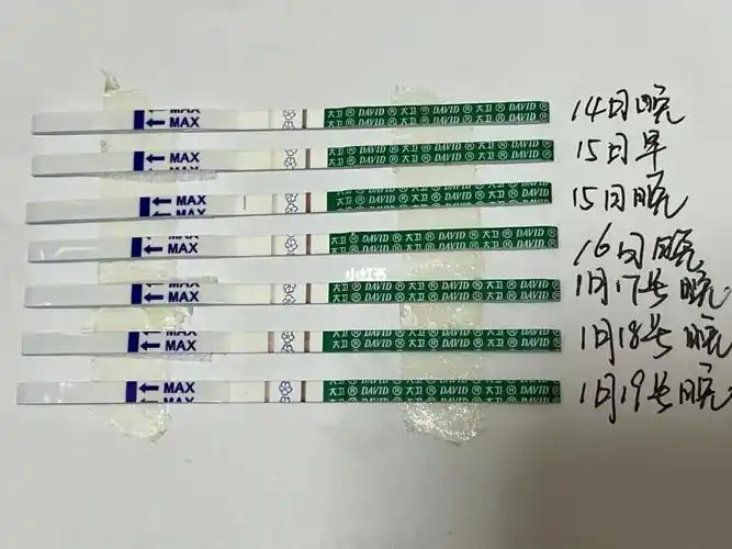 早早孕大卫变化