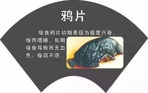 科普 | 常见的毒品种类有哪些?