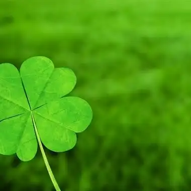 幸运四叶草头像图片