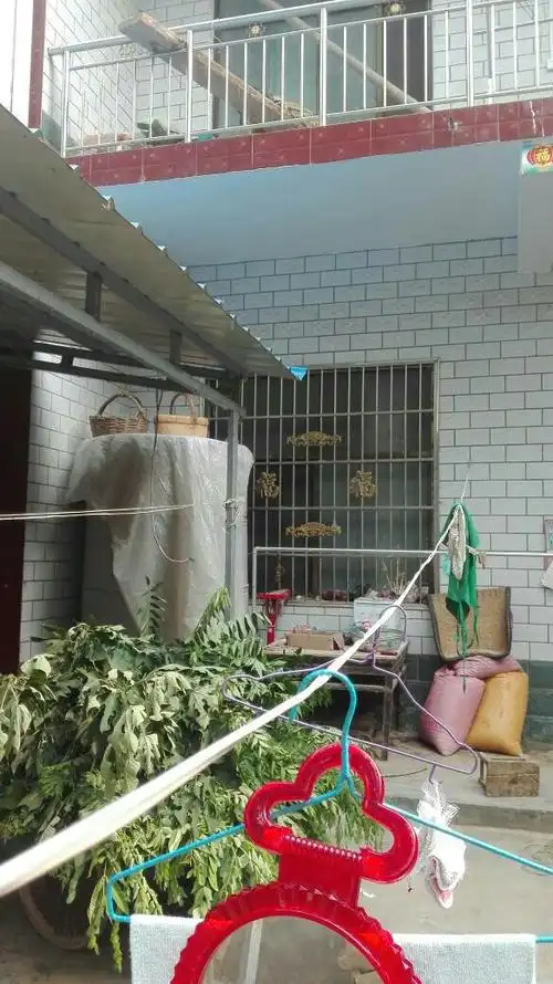 请问大师在院子里西边搭棚子盖到窗户长度一半好吗