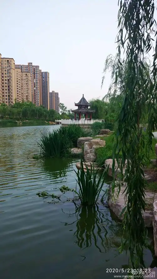 龙湖公园现场视频.