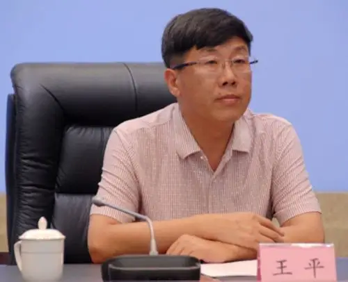 国土资源厅副厅长落马-四川王平/视频