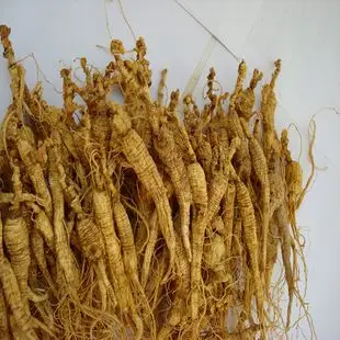 东北长白山 人参 15年左右小野山参 残枝 功效强劲 100克送大礼包