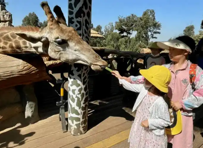 14位小朋友学习了不同动物的食性,爱好,以及入秋后的活动特点后,开始