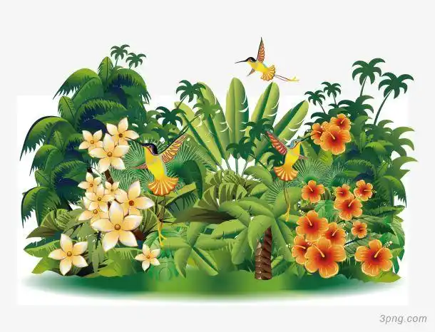 热带雨林png素材透明免抠图片-装饰效果
