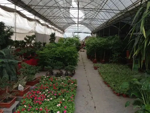 青浦区 标签: 购物 礼品店 园艺公司 公司企业  浦萝园艺(青浦店)共