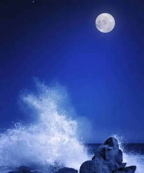 一缕清柔的月光透过窗棂,洒在了窗台上,窗台宛若镀了银.