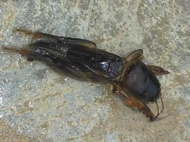 儿时记忆里的那些童趣,你还能回想起的有多少?