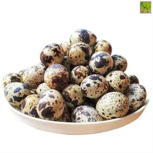 鹌鹑新鲜一箱生的蛋生生蛋整箱安全蛋鹑鸟蛋其它