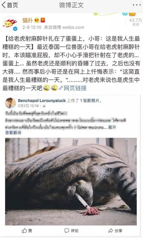 老虎:"其实俺是疼晕的…还有,下次想抓俺就直说吧,别再射俺了.