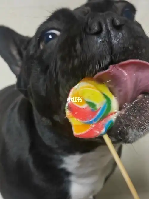 第一次吃棒棒糖