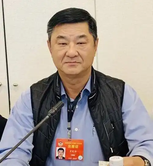 全国政协委员黄楚标:粤港澳大湾区航空发展前景广阔