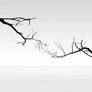 qq黑白风景头像微博风景头像黑白