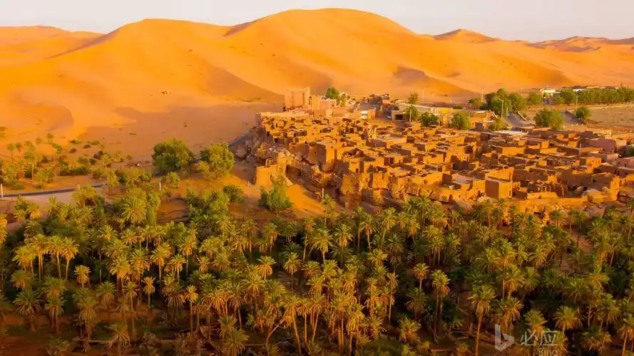阿尔及利亚绿洲小镇塔吉特壁纸