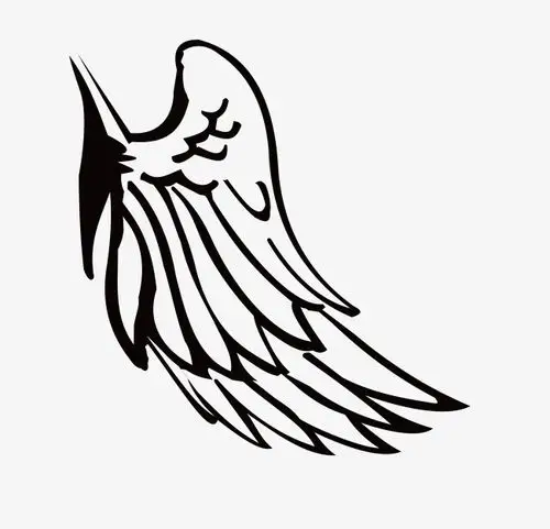 矢量羽翼