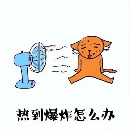 太热了表情包,天气热文案朋友圈搞笑说说