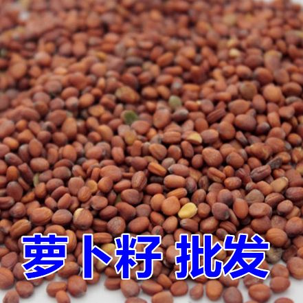 莱菔子 拍3斤包邮 白萝卜籽 萝卜子 萝白子 卜子 中草药材 500g克
