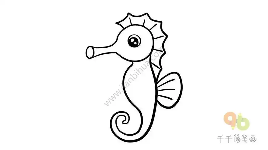 海马简笔画 海马简笔画图片大全