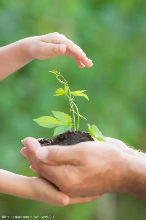 小手与绿色植物图片