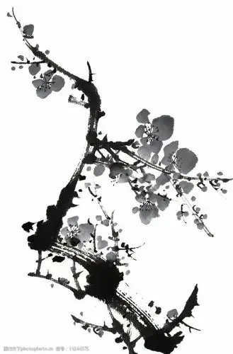 水墨梅花图片