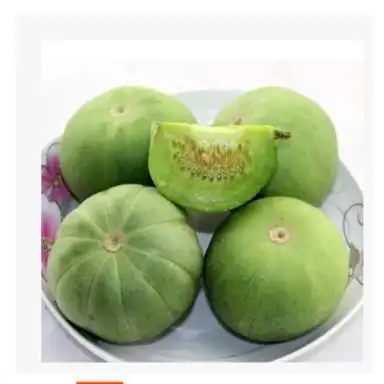 青皮绿瓜 奉化市禾益果蔬专业合作社