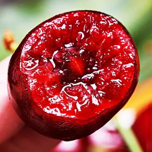 苏鲜生jd快递山东美早大樱桃xl级净重28斤装应季车厘子新鲜水果酸甜