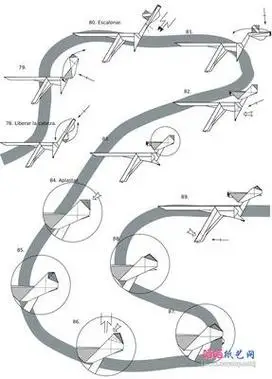 折纸恐龙之翼龙