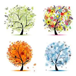 四季春夏秋冬. 艺术树,美化照片