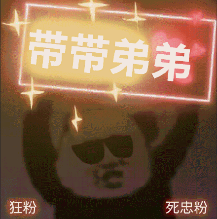 带带弟弟狂粉死忠粉熊猫头表情包gif