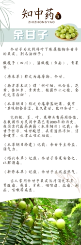 余甘子都有哪些功效与作用.