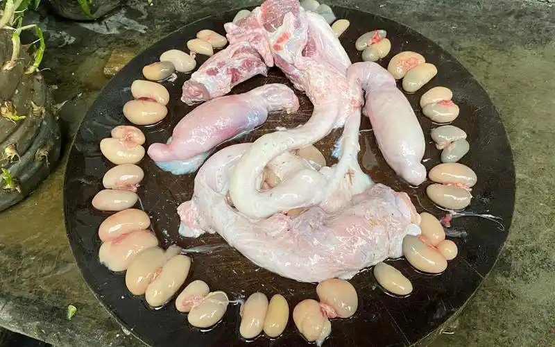 在农村170元一根牛鞭和50个公鸡蛋吃完后想不到的事情发生了