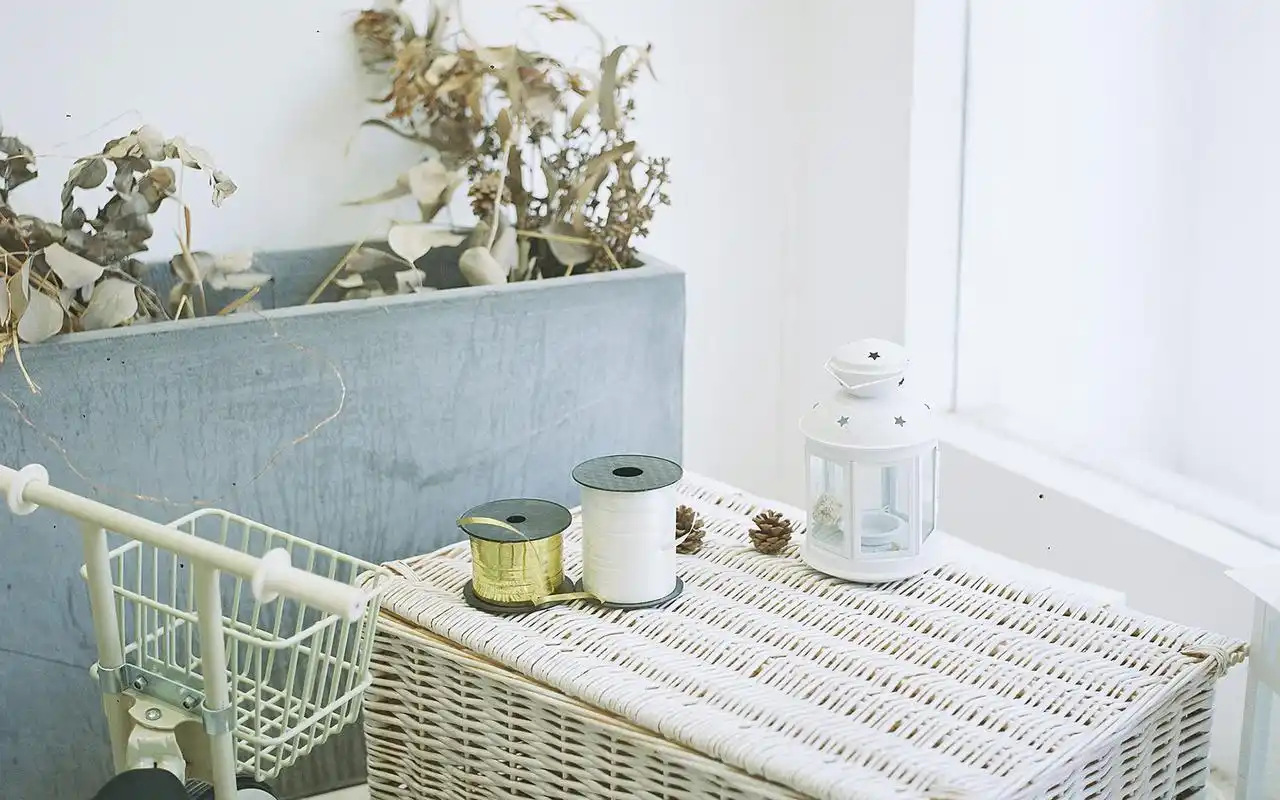 简约小清新唯美静物高清图片桌面壁纸