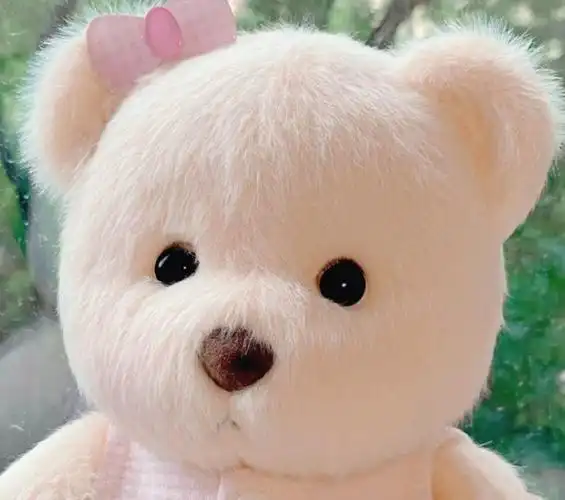 小熊头像【熊图片大全可爱图片】