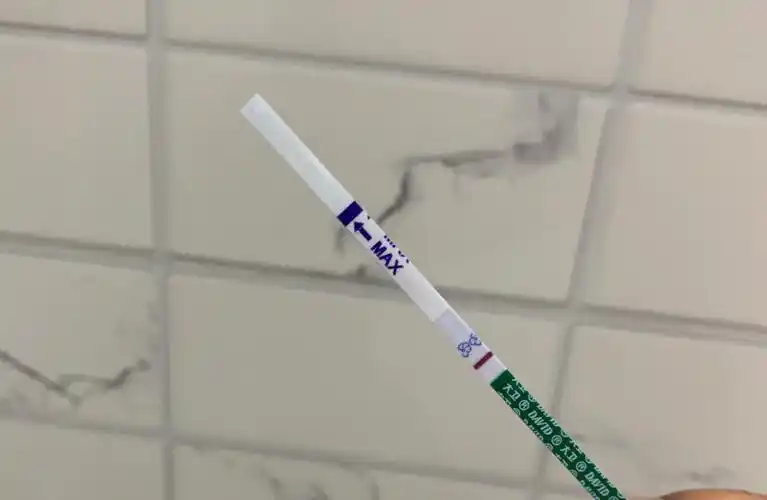 大卫验孕纸意念灰