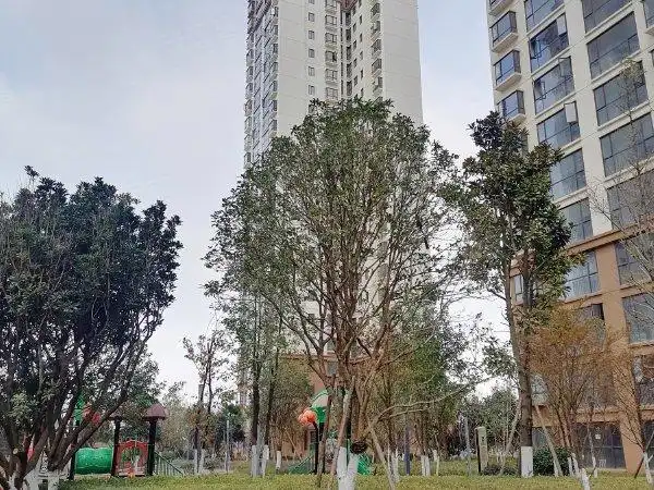 昆明呈贡刘家营锦绣家园锦绣家园 2室2厅1卫 南北通透 电梯房 精装修