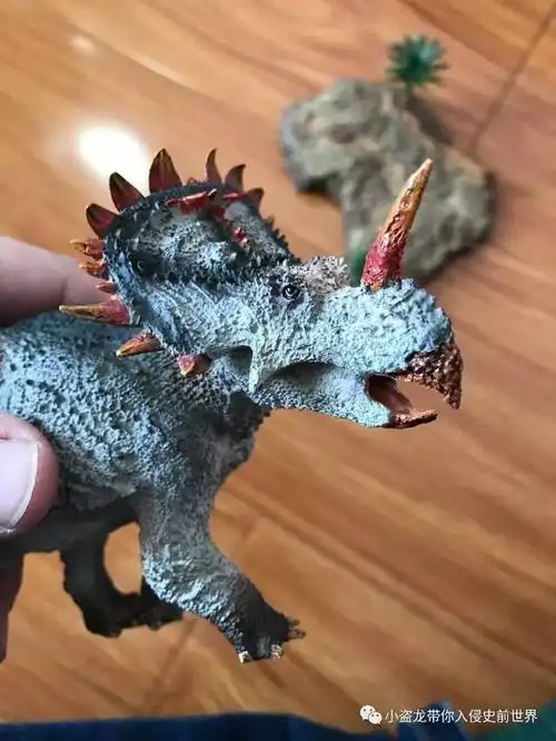 长着尖角头盾的霸气角龙我们中国也有