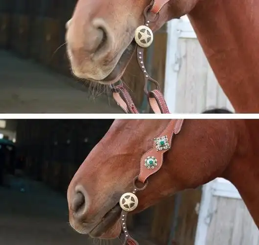 西部口衔铁西式马嚼子马衔铁野骑口衔铁烈马